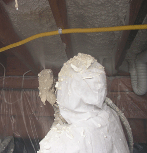 Anaheim CA crawl space insulation